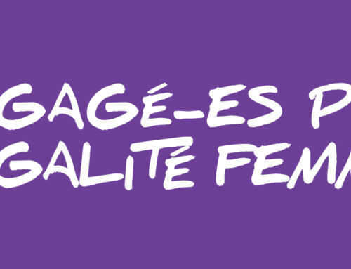 Contribution de la FSU au groupe de travail sur l’égalité professionnelle dans le cadre de fonction publique +